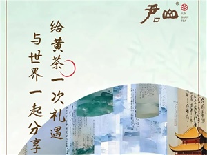 君山壹号：因为“针稀”，所以珍惜