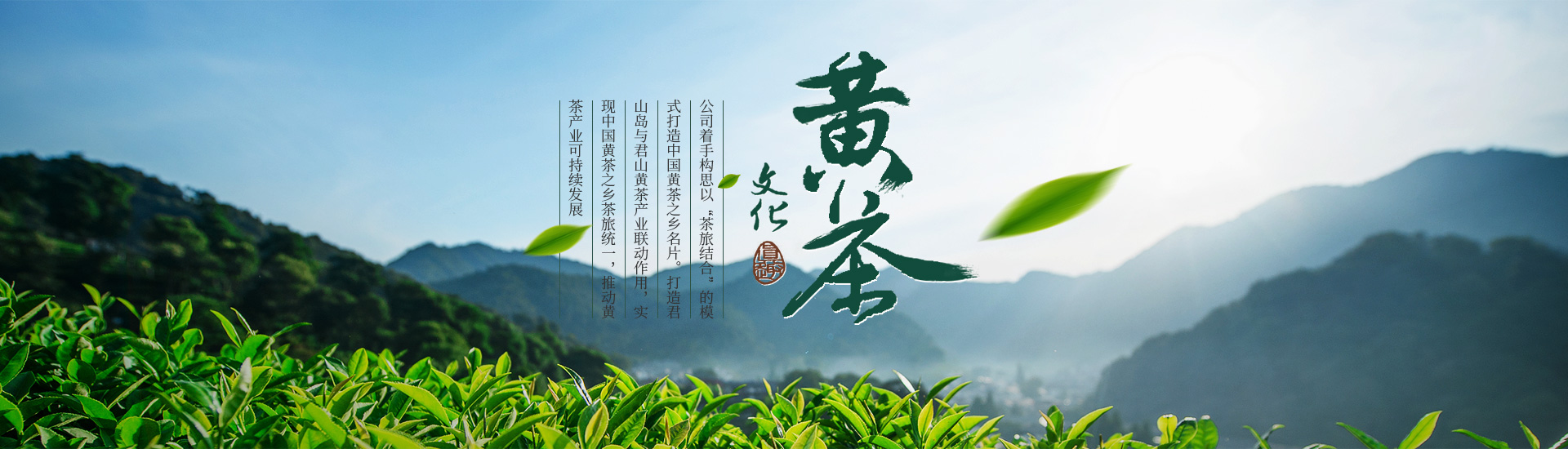走进君山