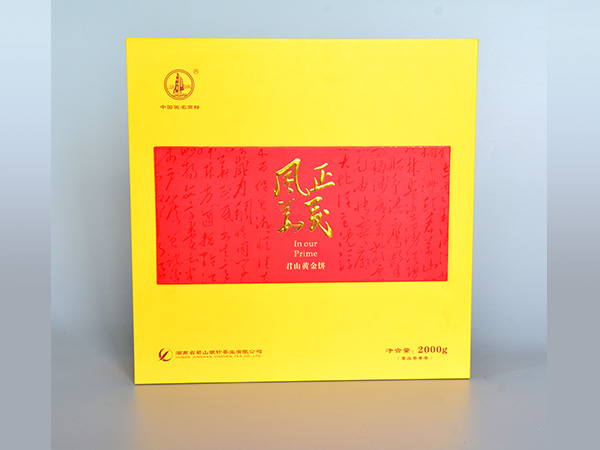 风华正茂